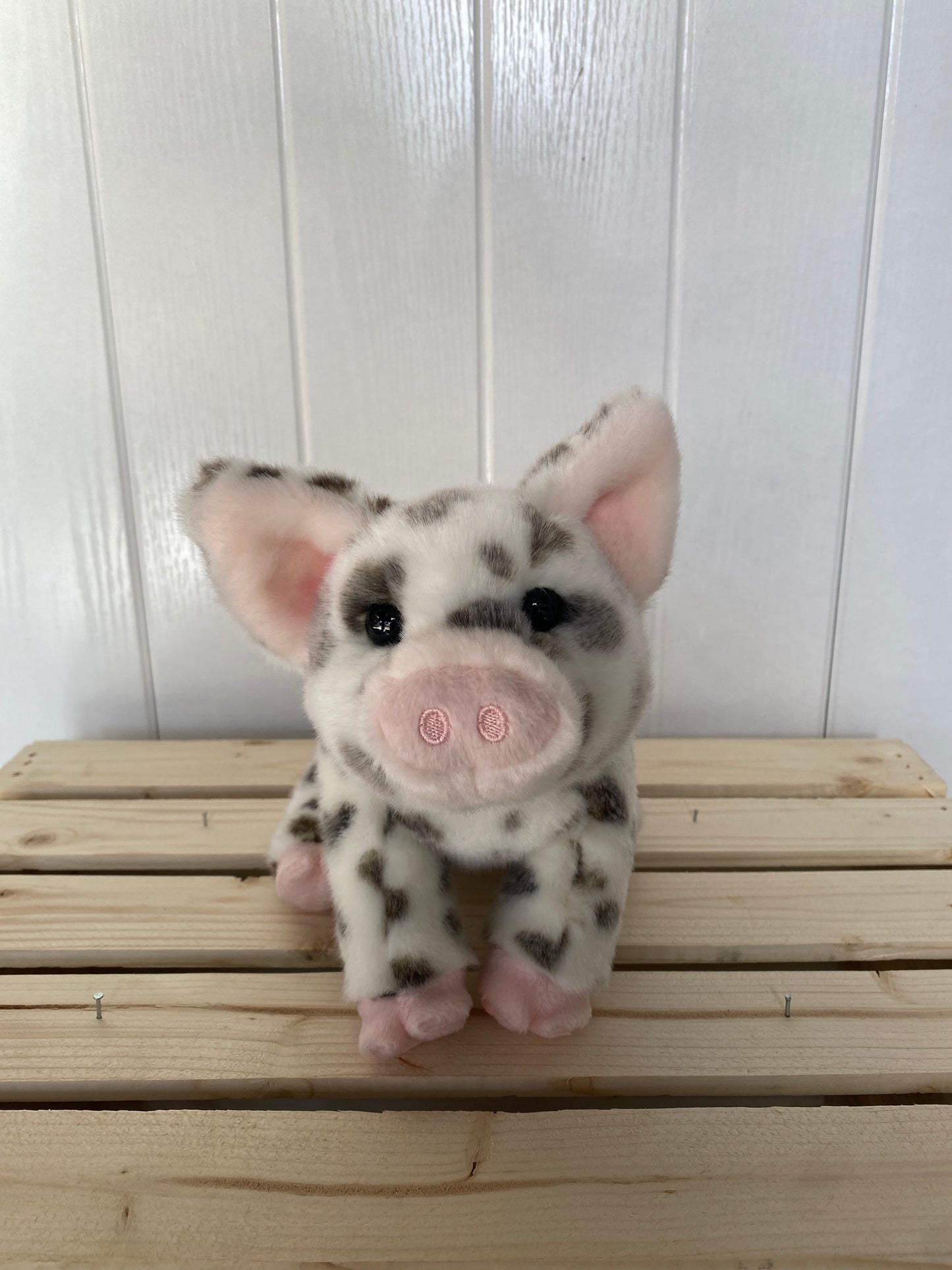Pauline Spotted Pig