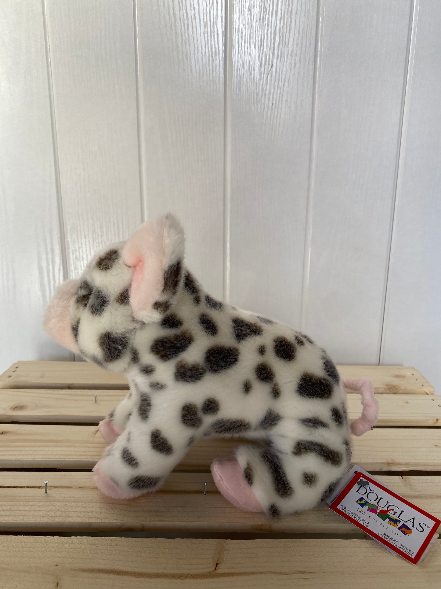 Pauline Spotted Pig