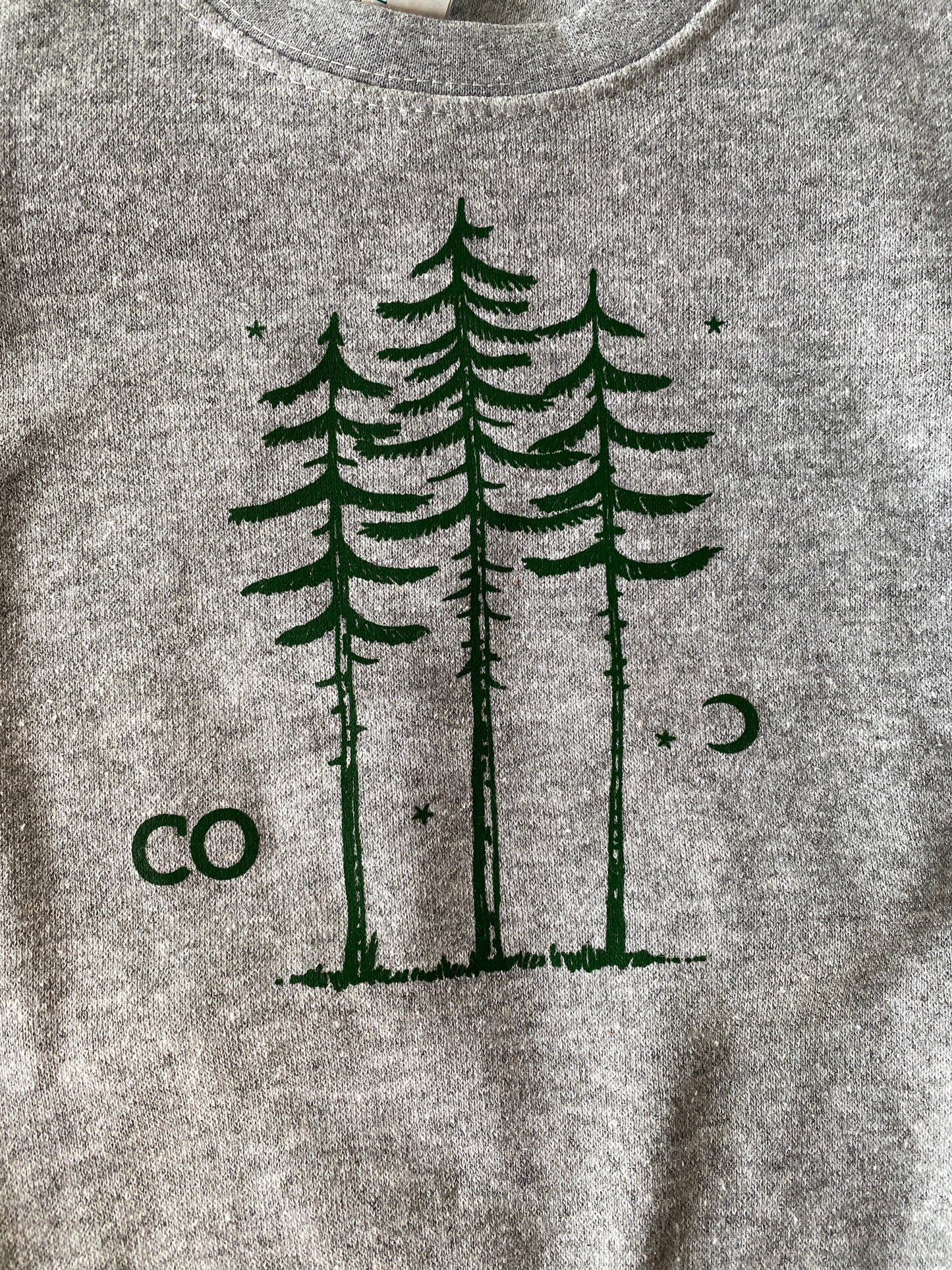 kids camping sweatshirt with colorado pine tree graphic