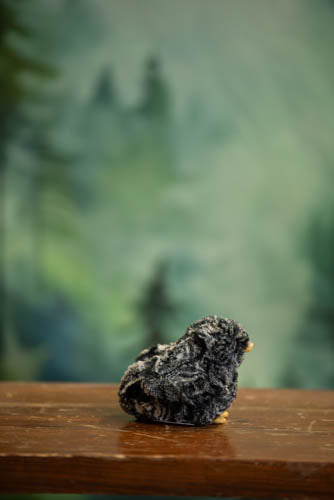 Small bird figurine on a wooden surface with a blurred green background