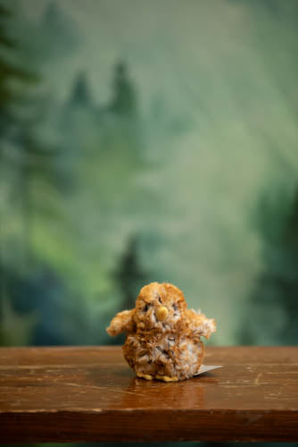 Small owl-shaped cookie on a wooden surface with a blurred green forest background