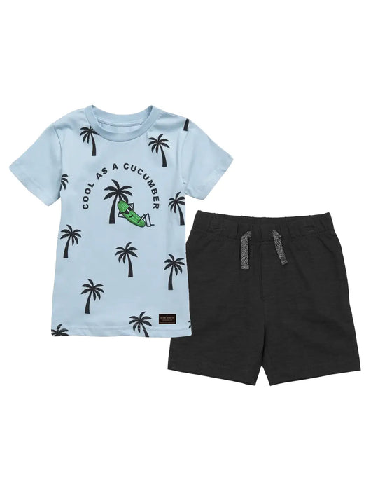 Boys T-shirt and Knit shorts set