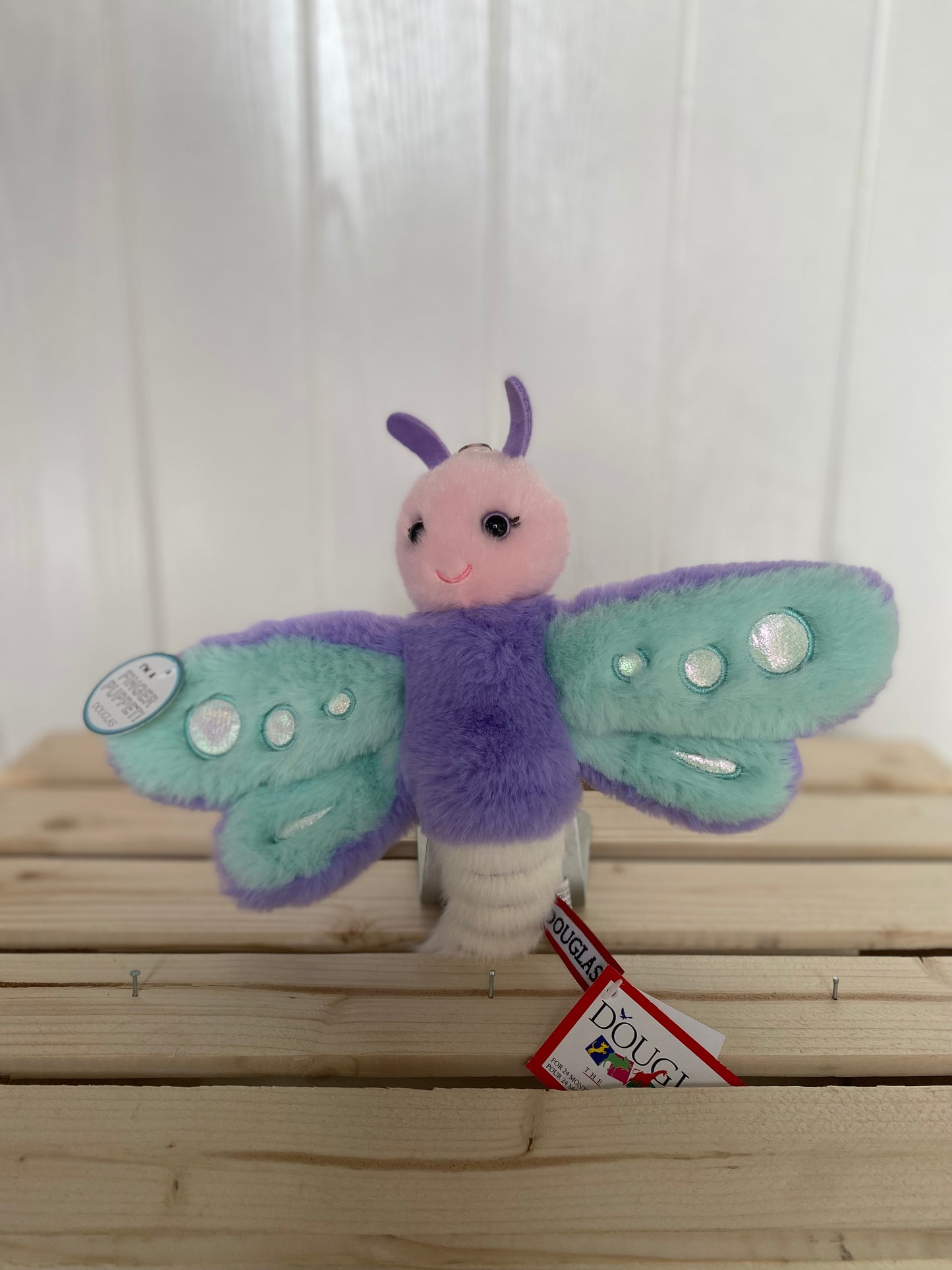 Dylan Dragonfly