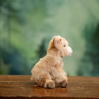Plush dog toy on a wooden surface with a blurred green forest background
