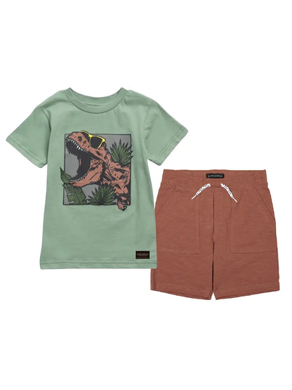 Boys T-shirt and Knit shorts set