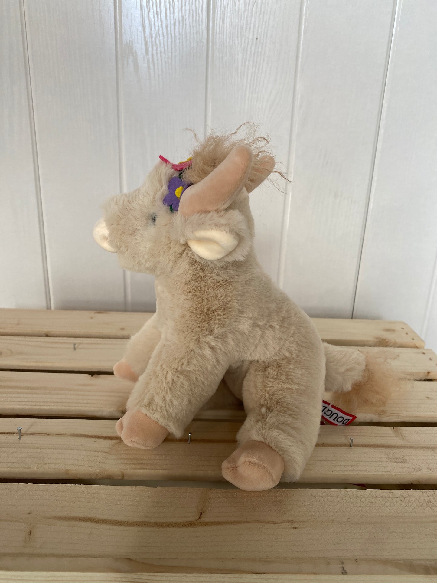 Laddie Flower Highland Cow