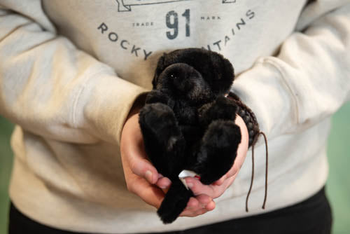 Person holding a small black animal, possibly a kitten, against a white sweatshirt with text.