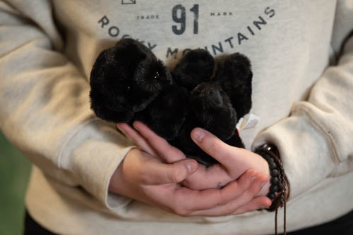 Person holding a black plush toy with a light gray sweatshirt featuring 'Rocky Mountains' text.