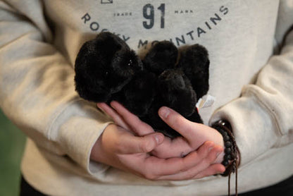 Person holding a black plush toy with a light gray sweatshirt featuring 'Rocky Mountains' text.