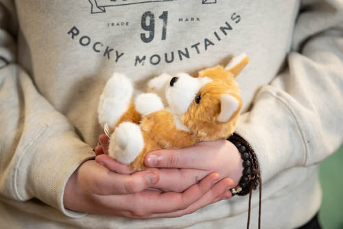Person holding a plush toy in front of a shirt with 'Rocky Mountains' text