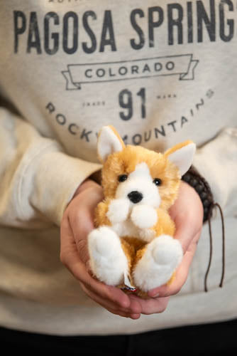Person holding a small plush dog toy with 'Pagosa Spring Colorado' sweatshirt in the background