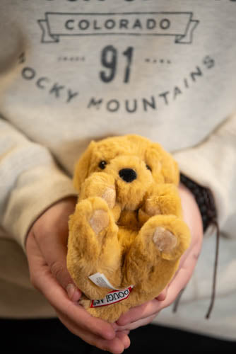 Person holding a small yellow plush dog toy with a visible brand tag, wearing a shirt with 'Colorado Rocky Mountains' text.