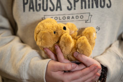 Person holding a plush duck toy with 'Pagosa Springs Colorado' text on a sweater
