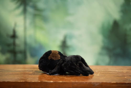 Black spider toy on a wooden surface with a blurred green forest background