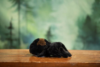 Black spider toy on a wooden surface with a blurred green forest background