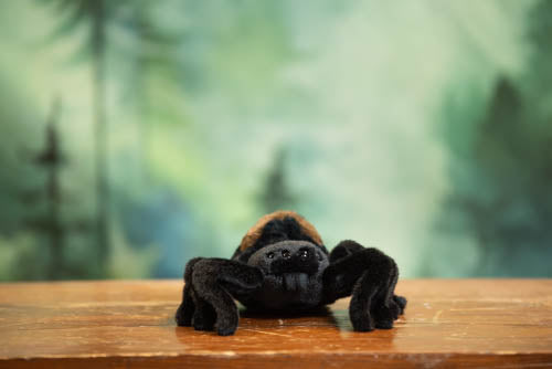 Plush toy spider on a wooden surface with a blurred natural background