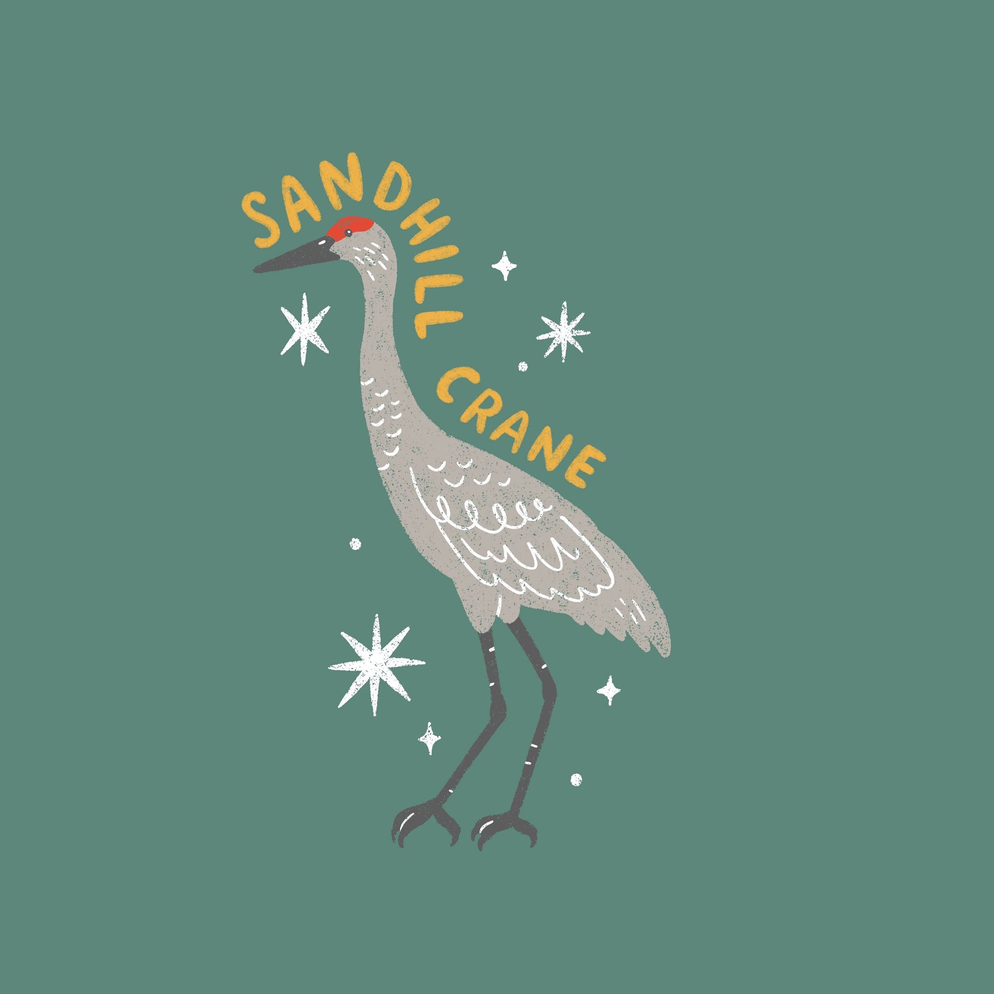 Illustration of a sandhill crane with 'Sandhill Crane' text on a green background
