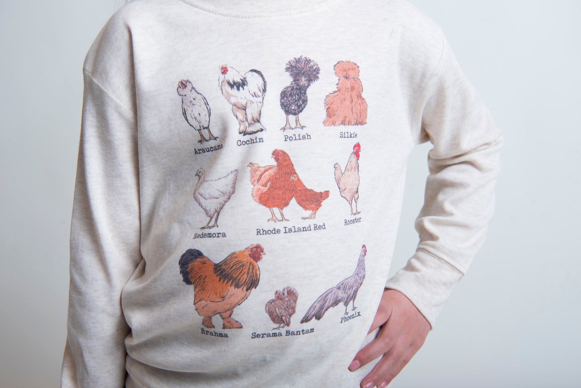 kids shirt with chicken breed graphics 