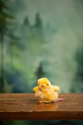 Yellow rubber duck on a wooden surface with a blurred green forest background